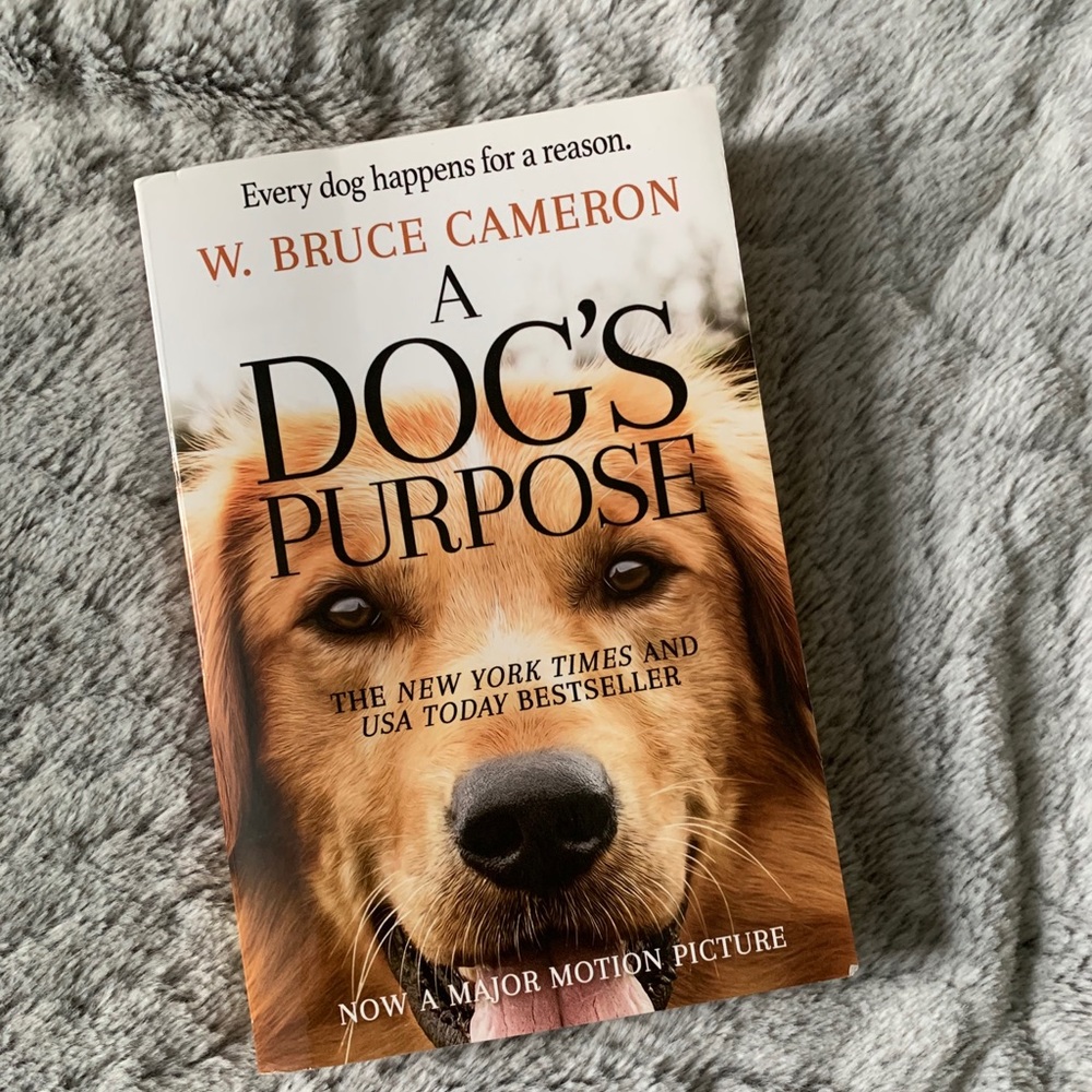 6/36$ or 10/50$

a dogs purpose